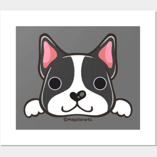 Boston Terrier Posters and Art